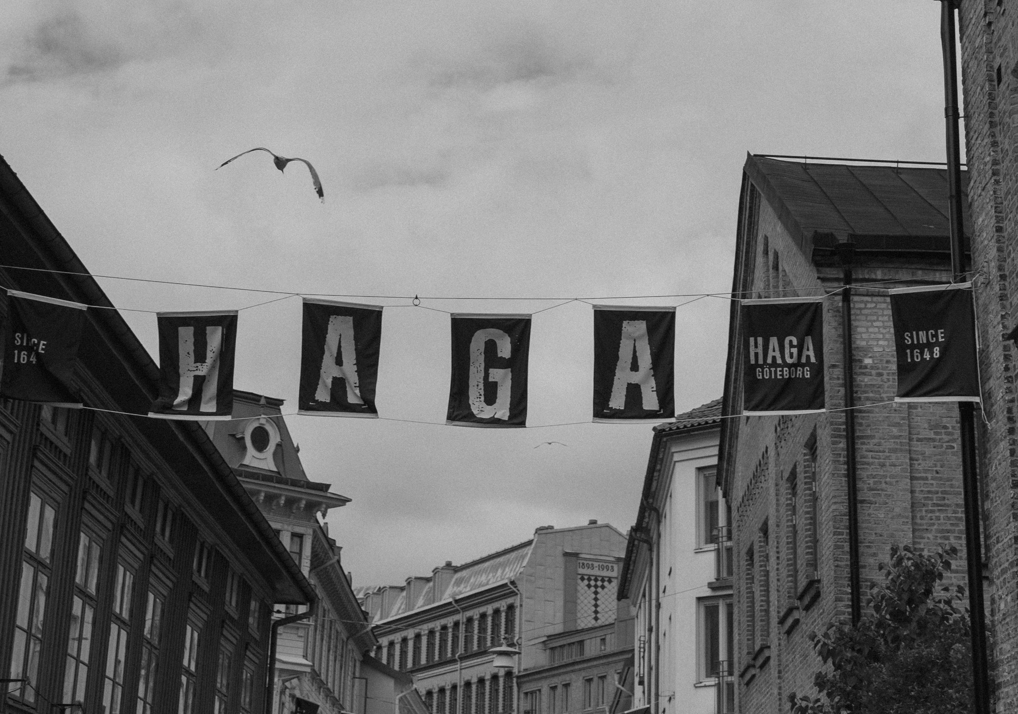 Solo Traveling Diaries: Gothenburg