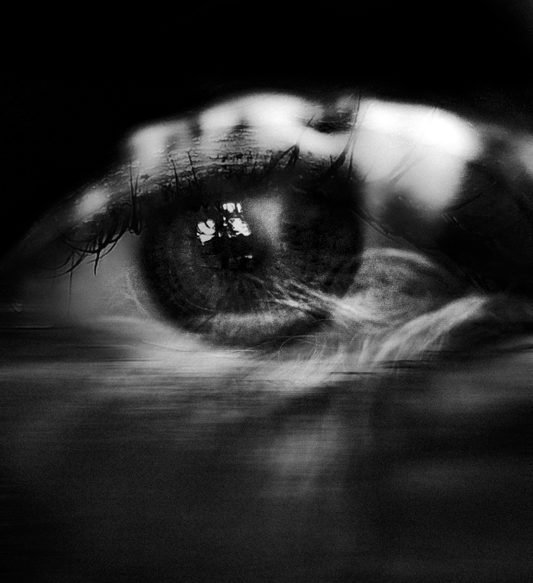 The Way We Move Through Life, The Way We Converse With Life