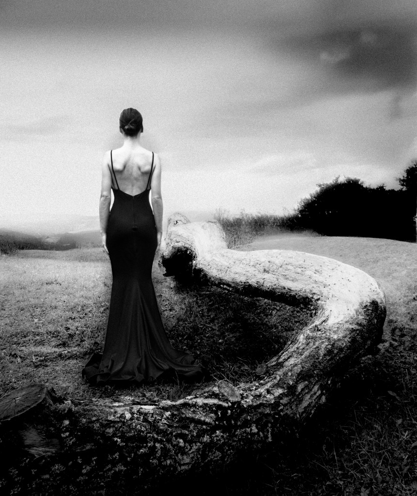 A woman in a long black dress stands facing away on a grassy landscape. A large, twisted log lies nearby. The sky is overcast, creating a somber mood.