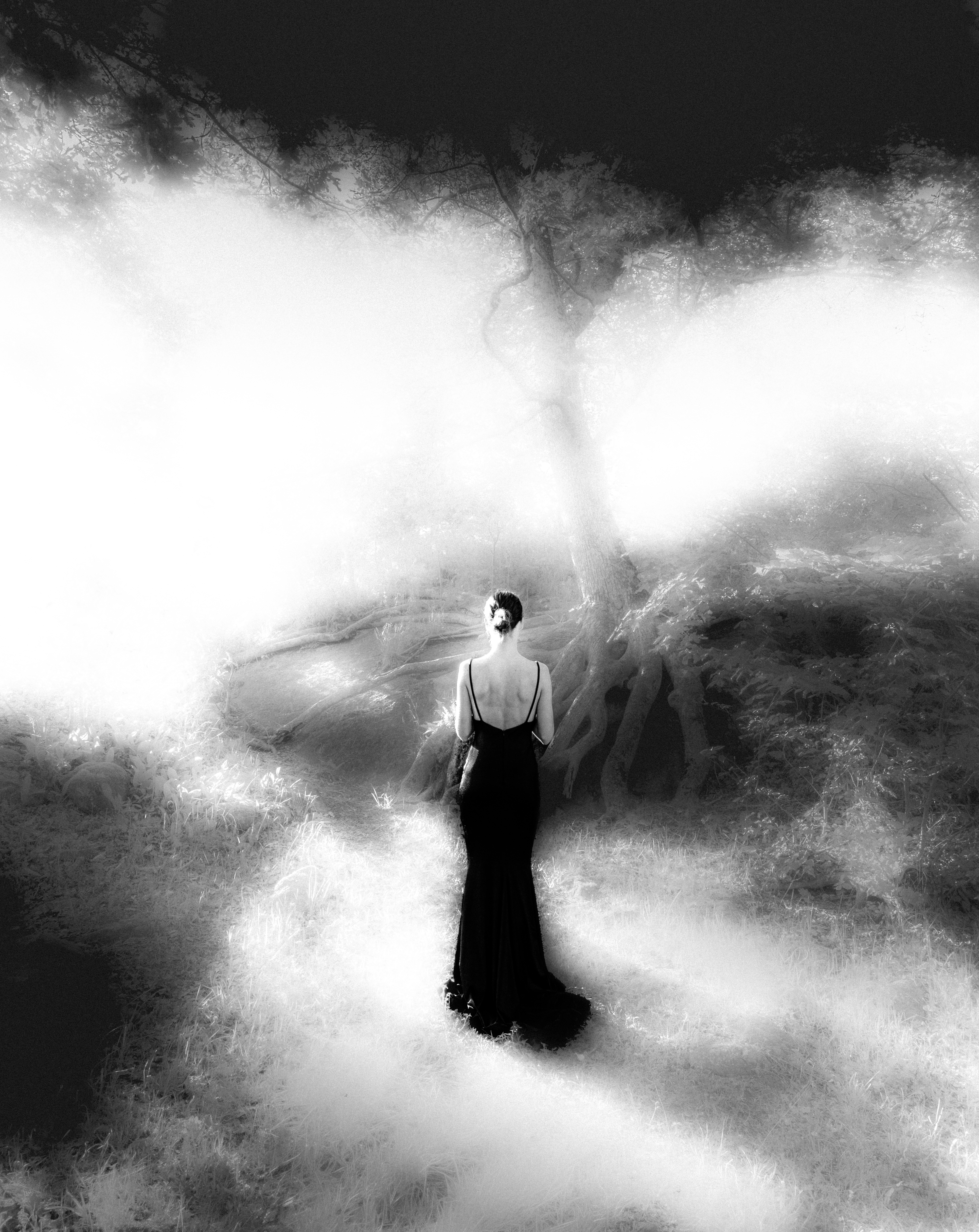 Woman in black dress, ethereal landscape